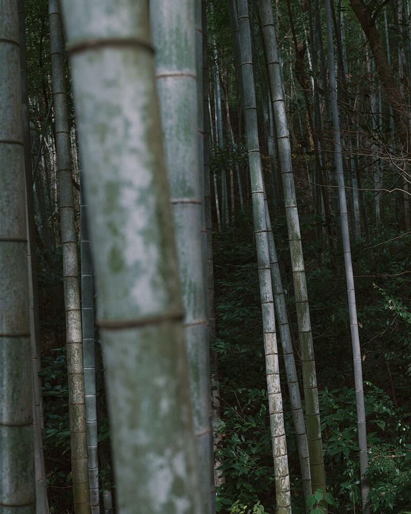 Întâlnire cu frumusețea patrimoniului cultural imaterial — Meșteșugul din Jiangnan printr-o perspectivă de 35mm