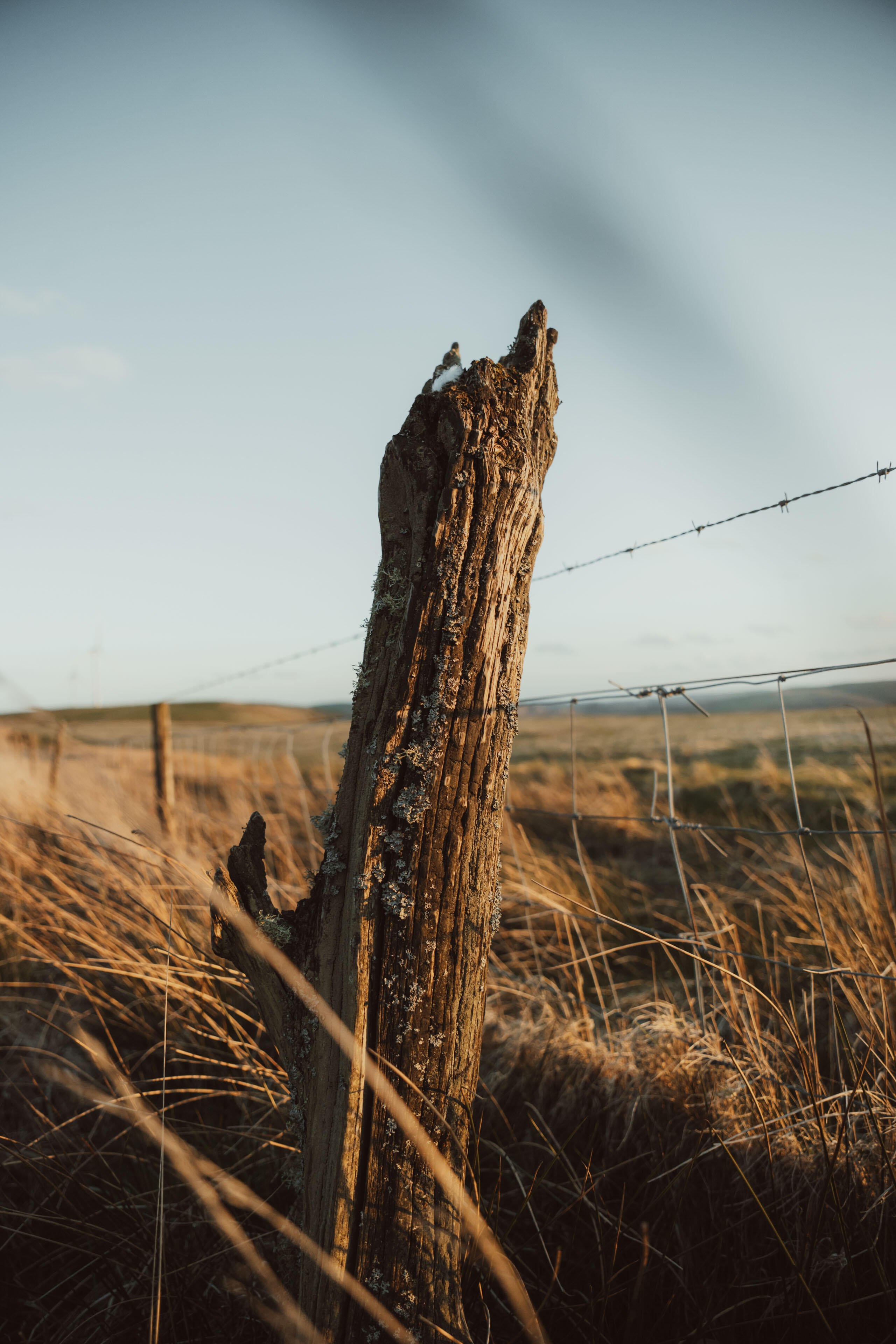 Jack Redgate 20-60mm 10