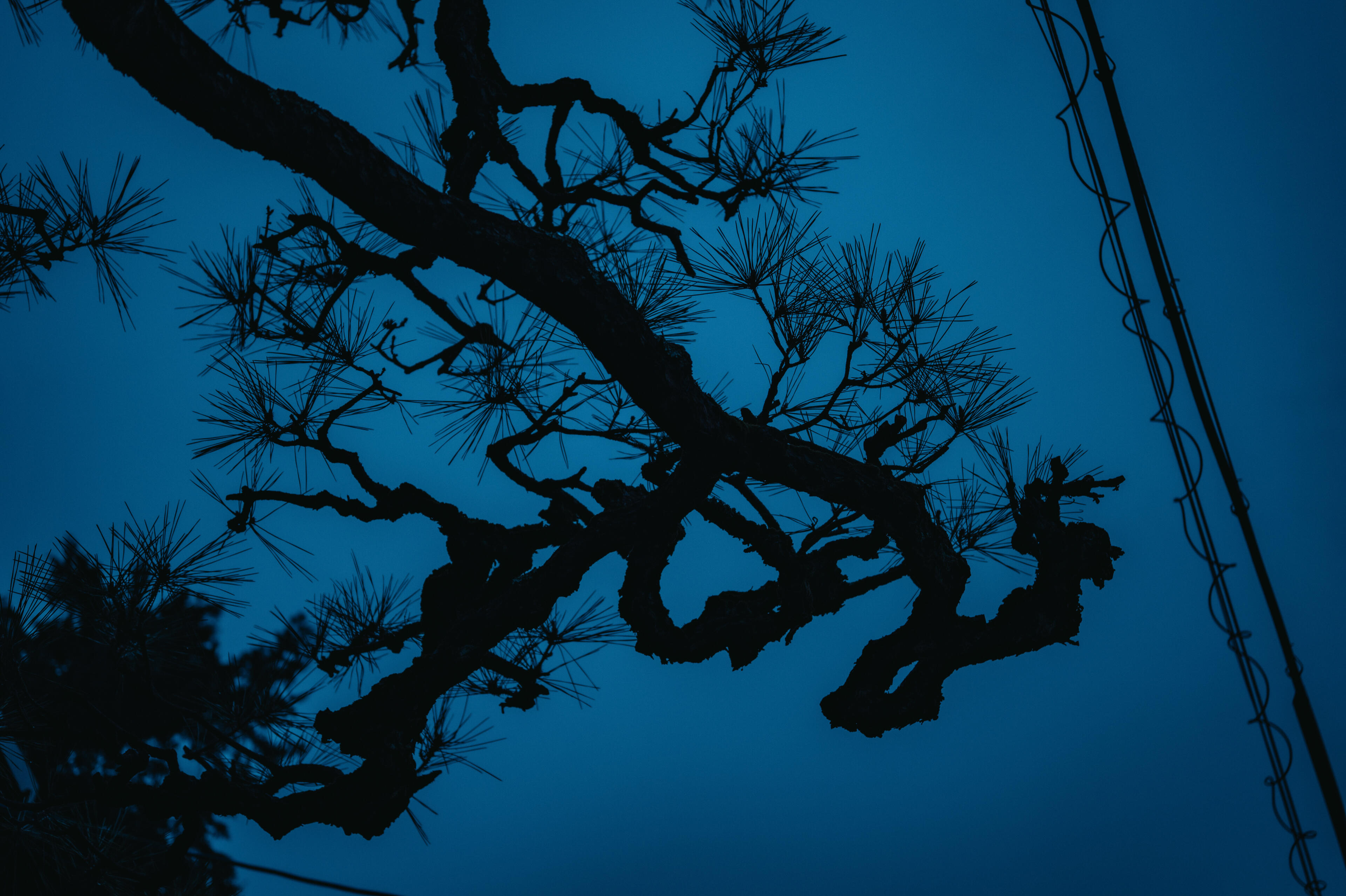 Naoki Miyashita 17-40mm 04