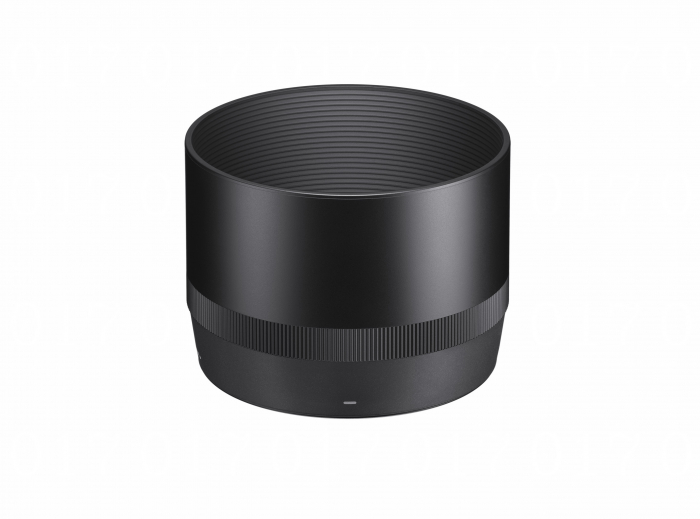 105MM F2.8 DG DN MACRO [9]