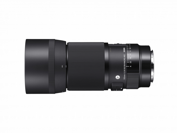 105MM F2.8 DG DN MACRO [6]