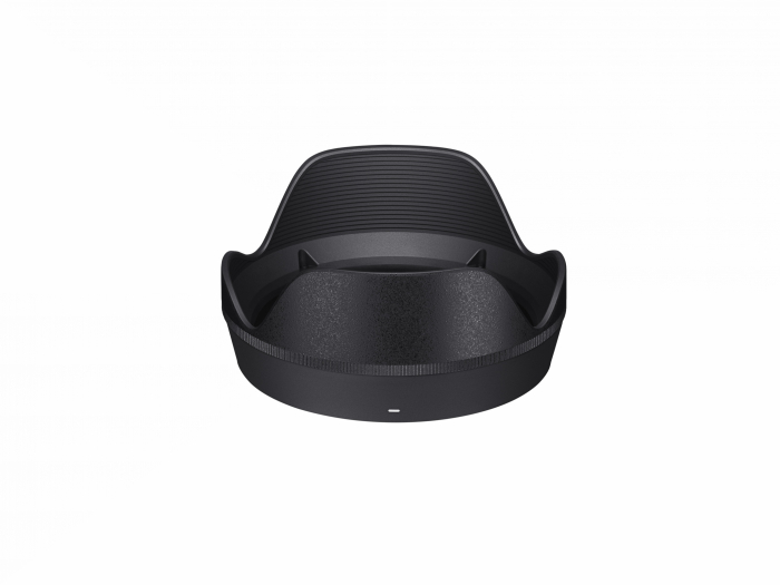 28-105MM F2.8 DG DN (A) [8]