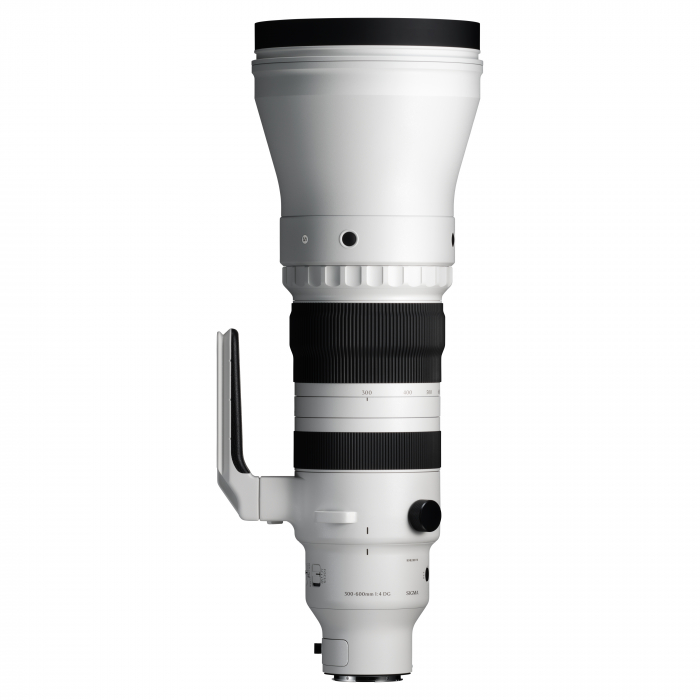 300-600mm F4 DG OS (S) [2]