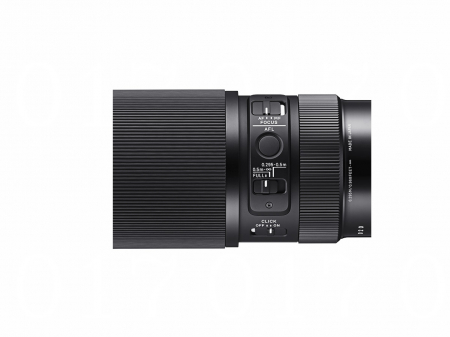 105MM F2.8 DG DN MACRO [2]