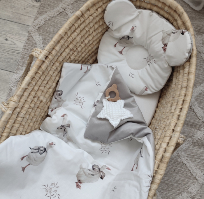 Set Pena si pilota bebelus Goose [2]