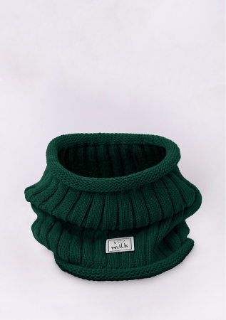 Bentite si incaltaminte - Fular tricot Green