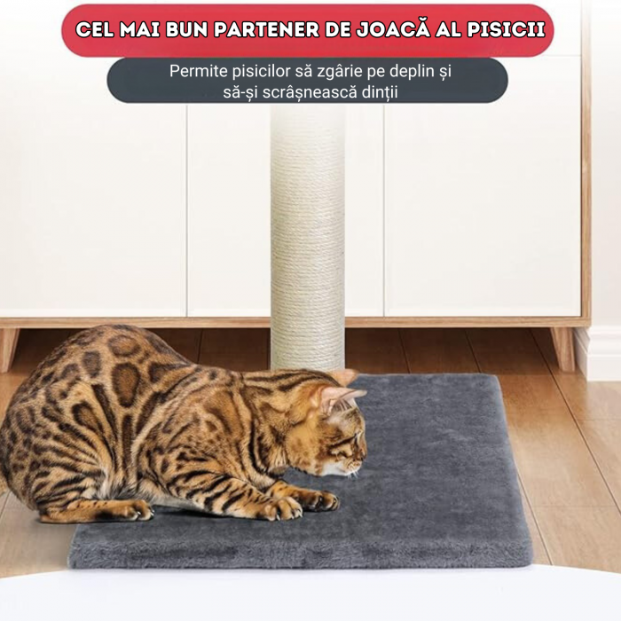 jucarie de zgariat pentru pisici [5]