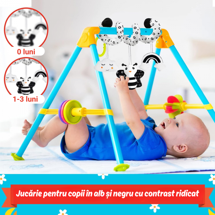 jucarie senzoriala alb negru [6]