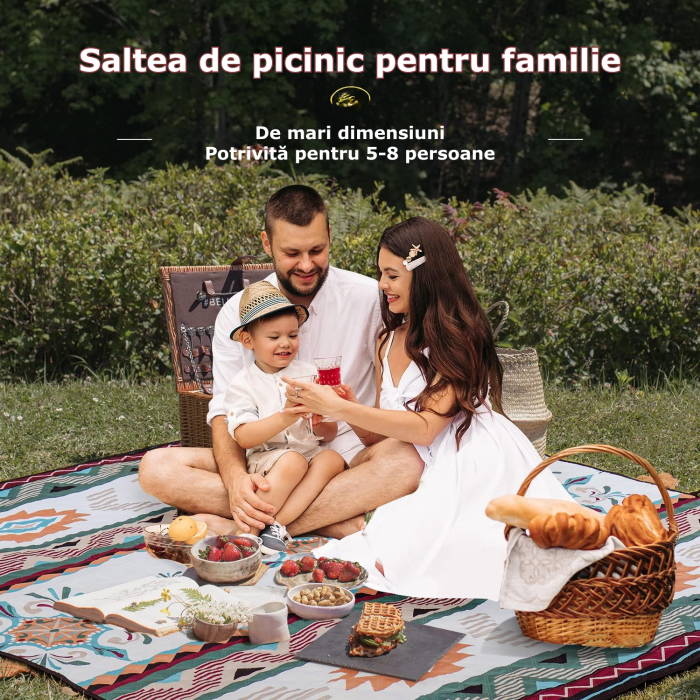 patura pentru picnic [7]