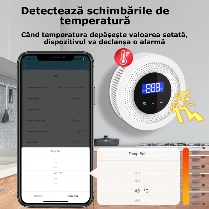 Detector de gaze [5]