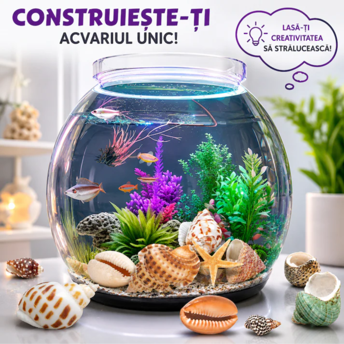 Scoicile descoperite pot decora un acvariu