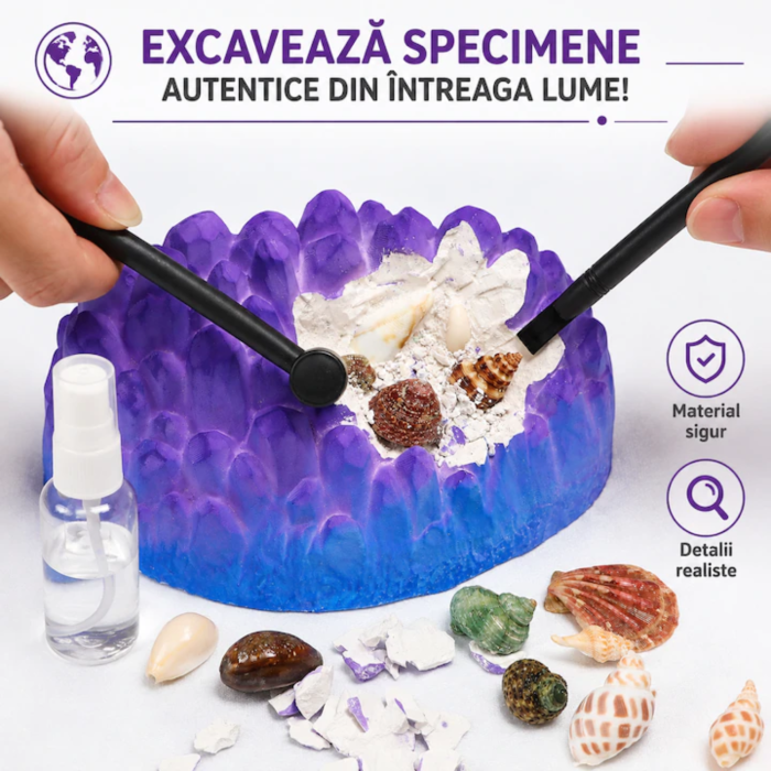 Scoicile ies treptat la suprafață, sub ciocănel și daltă