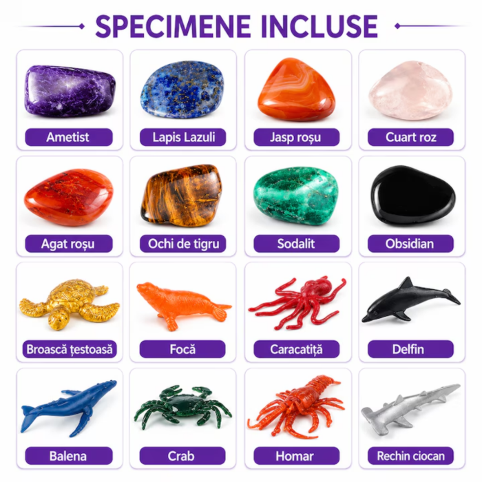 set arheologic animale marine [6]