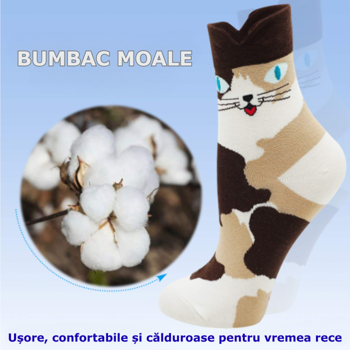 Sosete dama model pisica [3]