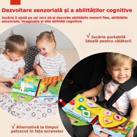 Carte senzoriala ferma [4]