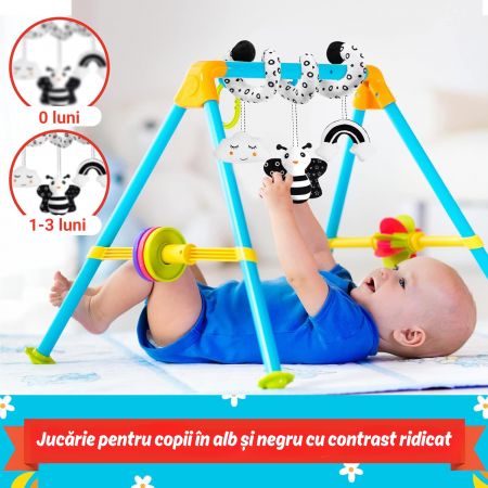 jucarie senzoriala alb negru [5]