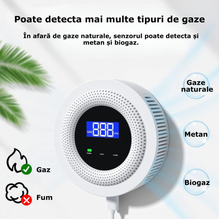Detector de gaze [1]