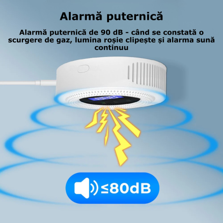 Detector de gaze [5]