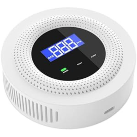 Detector de gaze [9]