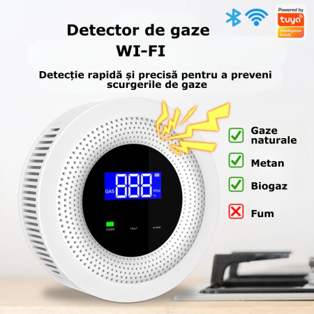 Detector de gaze [3]