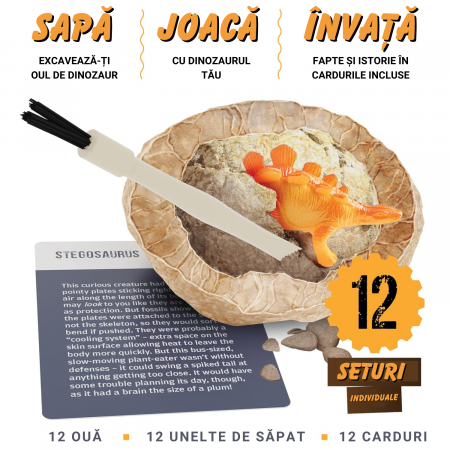 jucarie set arheologic [4]