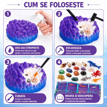 set arheologic scoici si fosile marine [1]