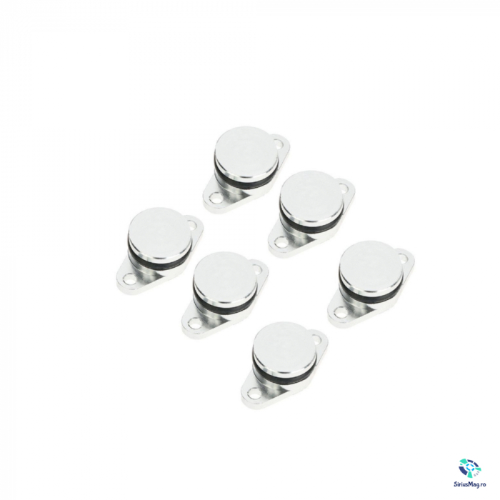 Set 6 Dopuri Anulare Clapete Galerie Admisie BMW 33 mm M57 [3]