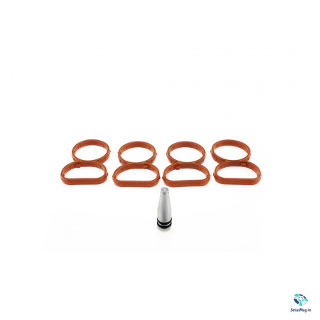 Kituri reparatie - Kit Anulare Clapete Admisie pentru BMW cod motor N47