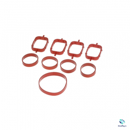 Kituri reparatie - Set Garnituri Galerie Admisie pentru BMW M47
