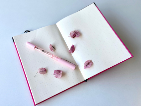 Colectia-bujo-teenager-roz-pastel [3]