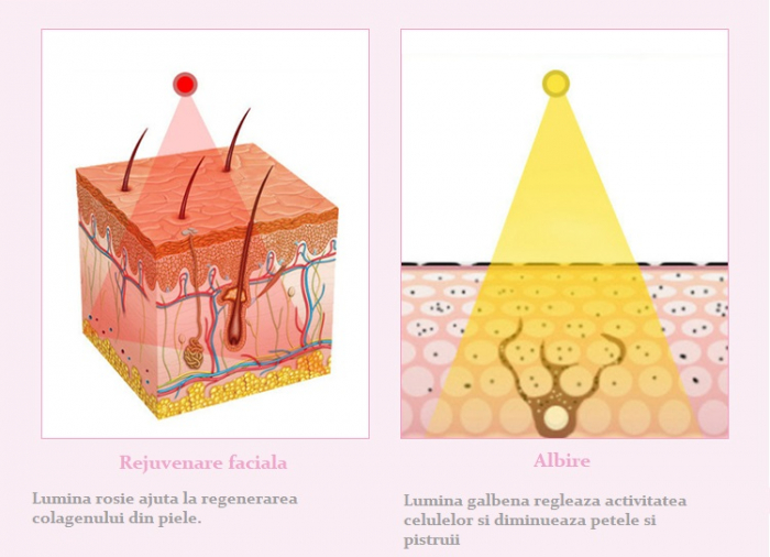 Aparat rejuvenare faciala 7 in 1 ultrasonic-foton, lifting, prevenire acnee, antirid, curatare si hidratare ten, rosu [5]