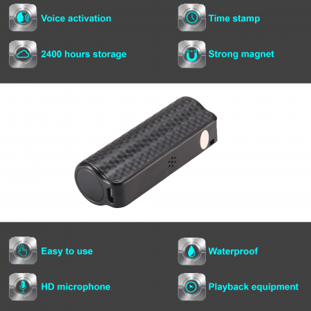 Voice-activated Spy Recorder [2]