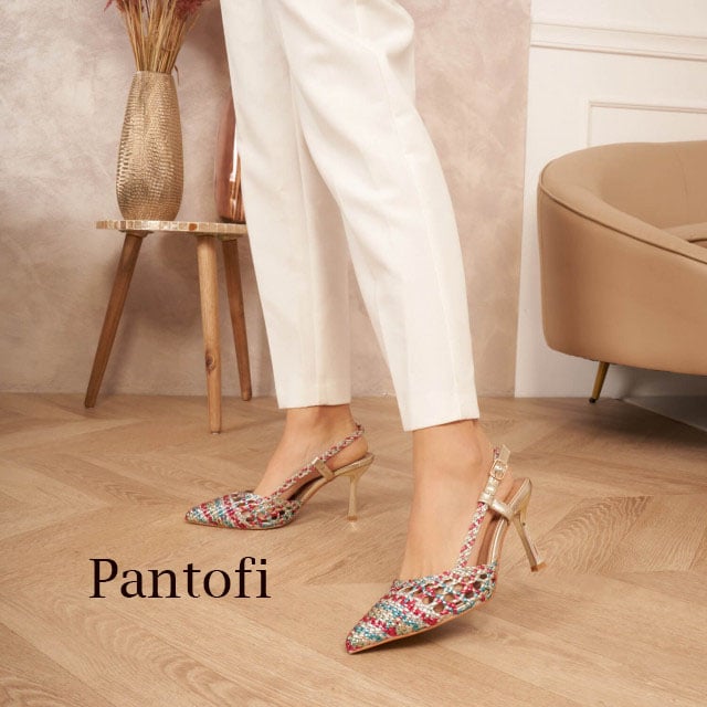 Pantofi