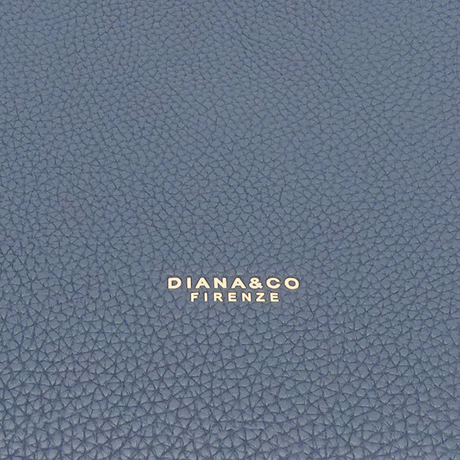 Geanta albastra DIANA&CO DJM643-1 M3 [9]
