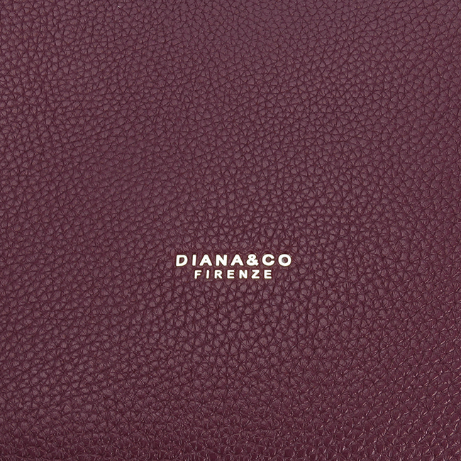 Geanta bordeaux DIANA&CO DJM643-1 M3 [9]