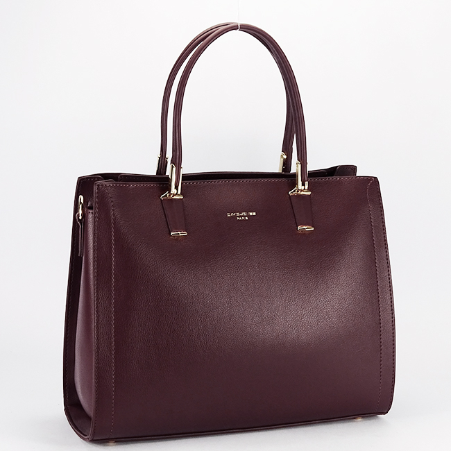 Geanta bordo David Jones Paris CM6718-5 11