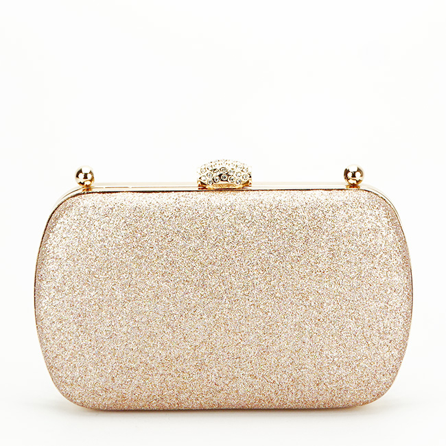 Geanta clutch sampanie cu maner detasabil BYH-871 06 [3]