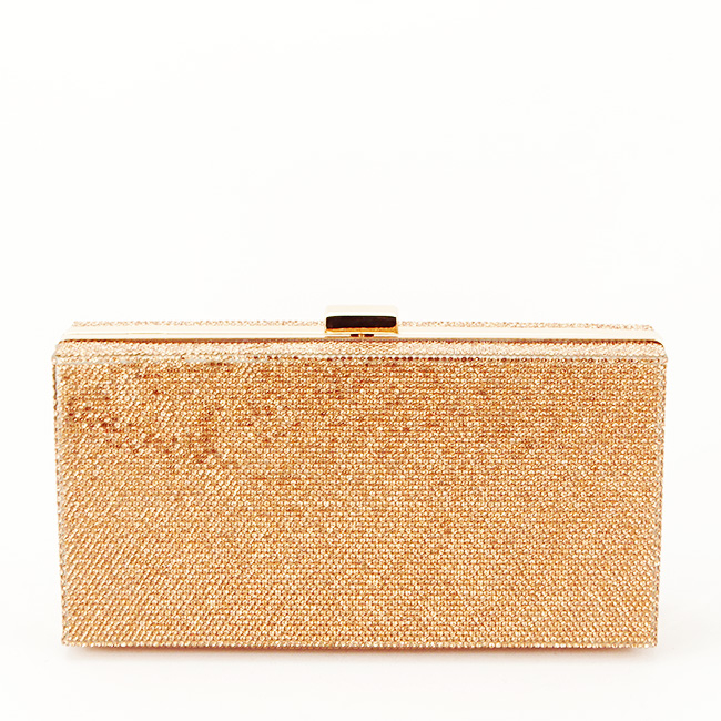 Geanta clutch sampanie cu pietricele BRS-5052 05 [3]
