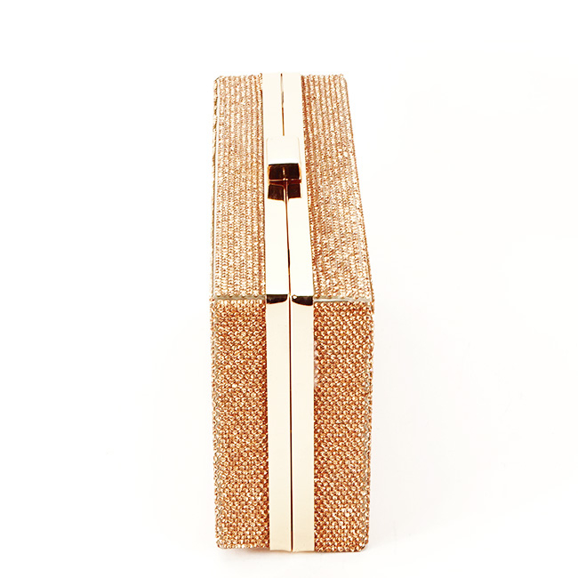 Geanta clutch sampanie cu pietricele BRS-5052 05 [4]