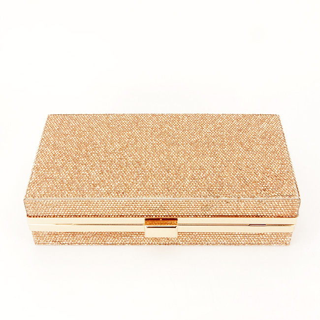 Geanta clutch sampanie cu pietricele BRS-5052 05 [5]