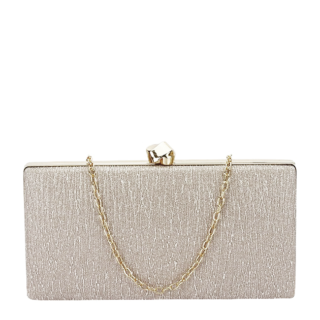 Geanta clutch sampanie cu sclipici BYH-809 06 [2]