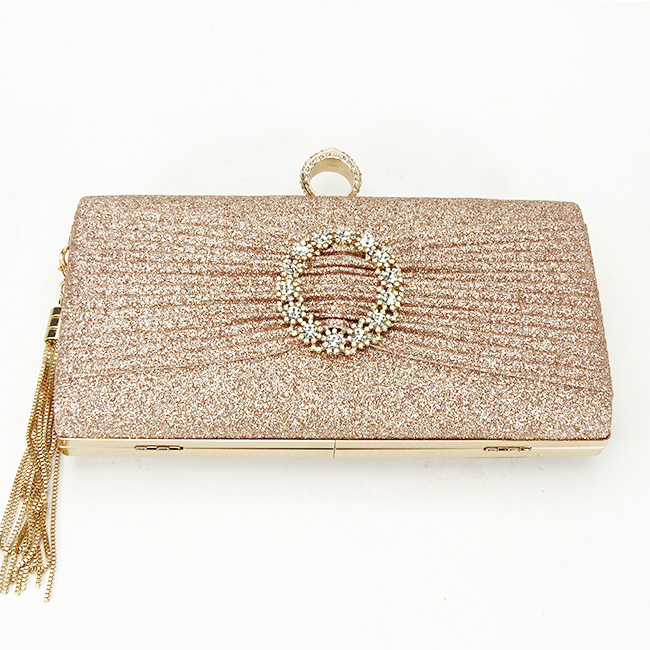 Geanta clutch sampaniu cu brosa BYH-8815 05 [5]