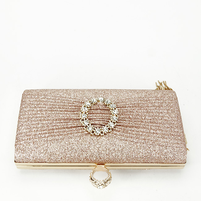 Geanta clutch sampaniu cu brosa BYH-8815 05 [6]