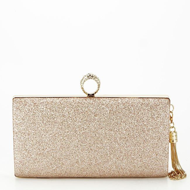 Geanta clutch sampaniu cu brosa BYH-8815 05 [4]