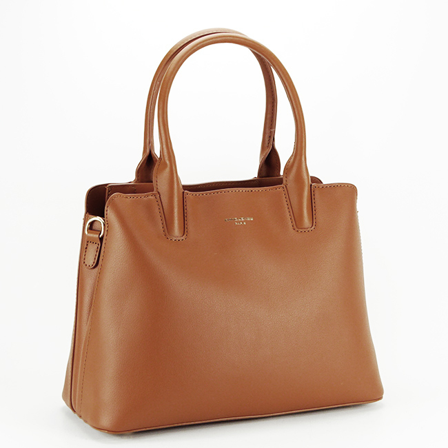 Geanta David Jones CM6779 17 Maro [2]