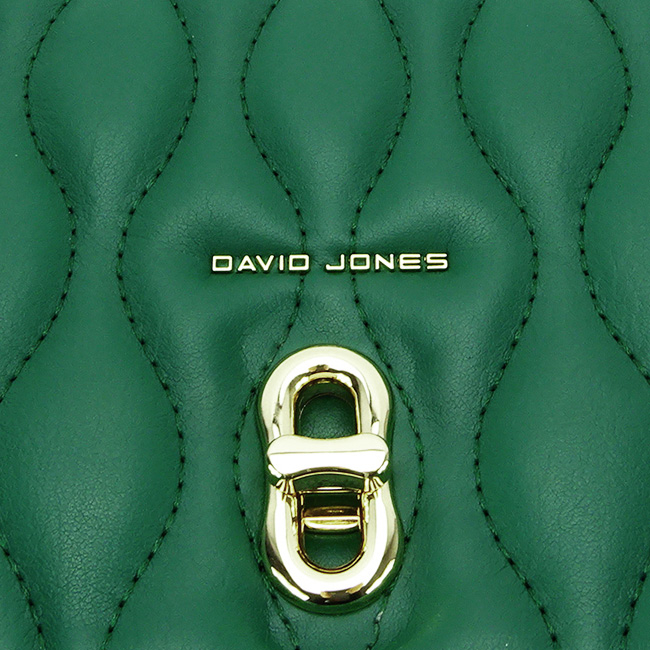 Geanta David Jones CM6783 15 Verde [10]