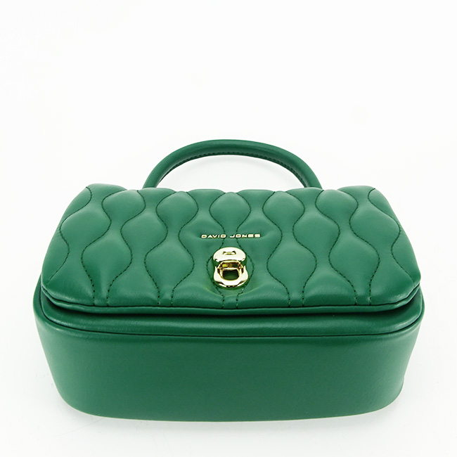 Geanta David Jones CM6783 15 Verde [6]
