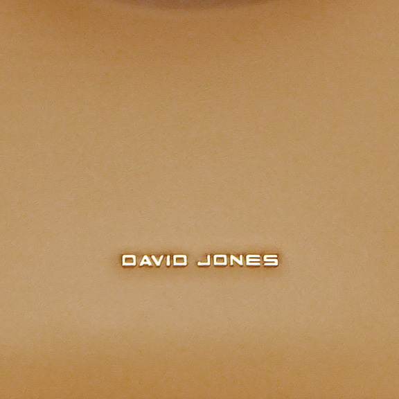Geanta David Jones CM6795 15 Camel [11]