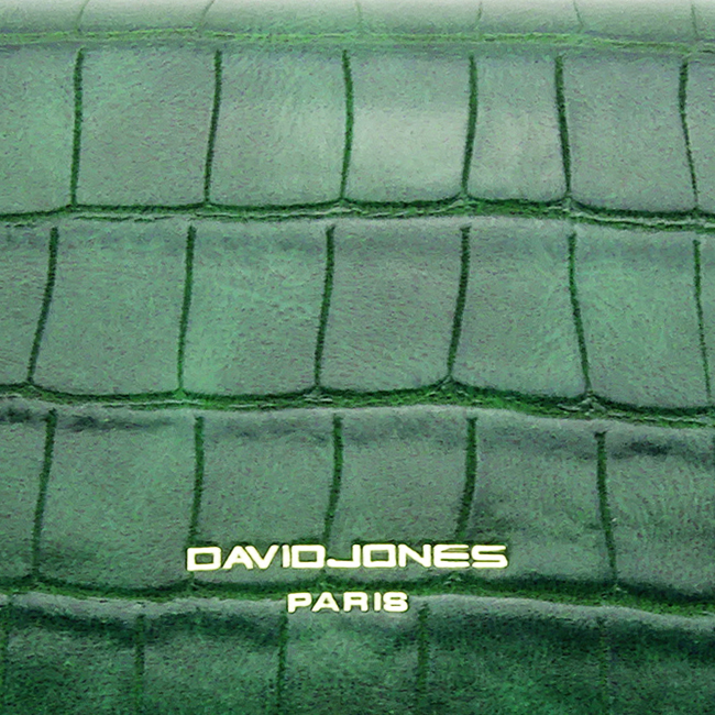 Geanta David Jones Paris  CM6550 12 Verde [10]