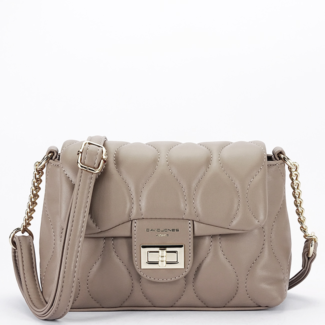 Geanta mica taupe David Jones CM6700H 129 [2]